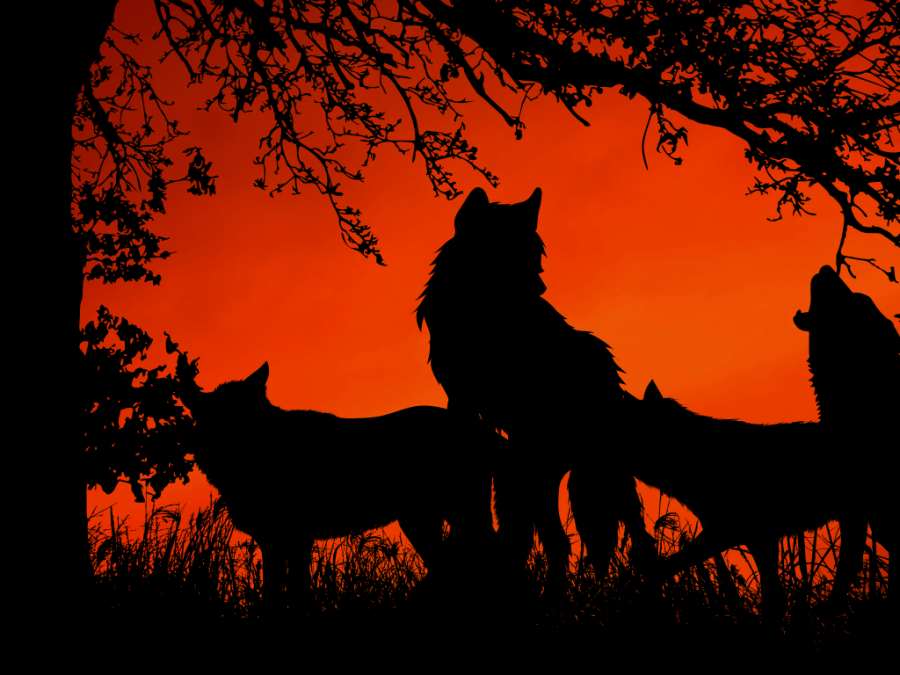 Halloween Mythology Crossword Puzzle The Wolf Howl