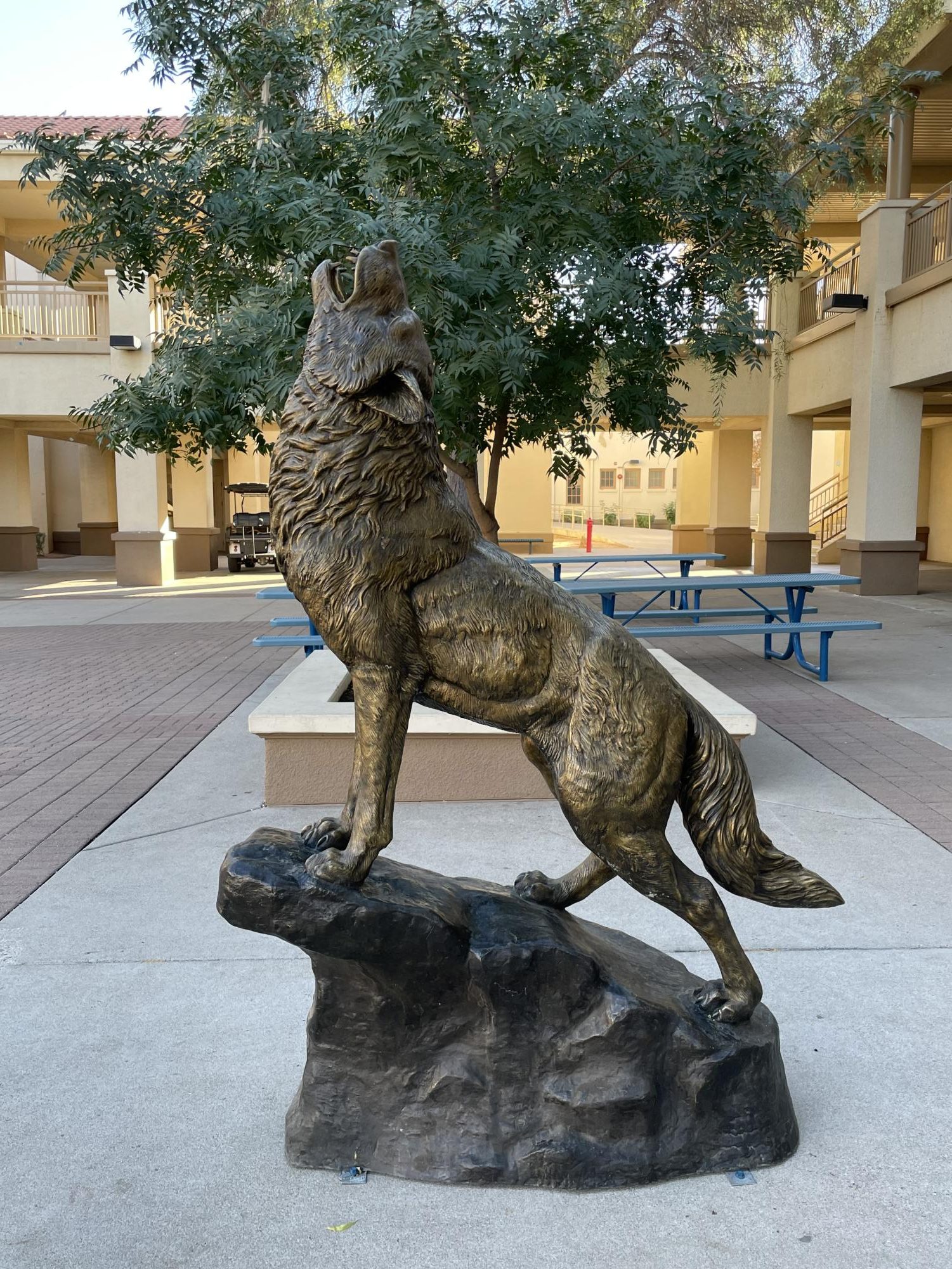 Blue Spirit Budgeting gives CHS students a voice
