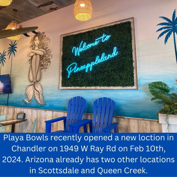 Navigation to Story: “Playa Bowls” Opens New Location in Chandler