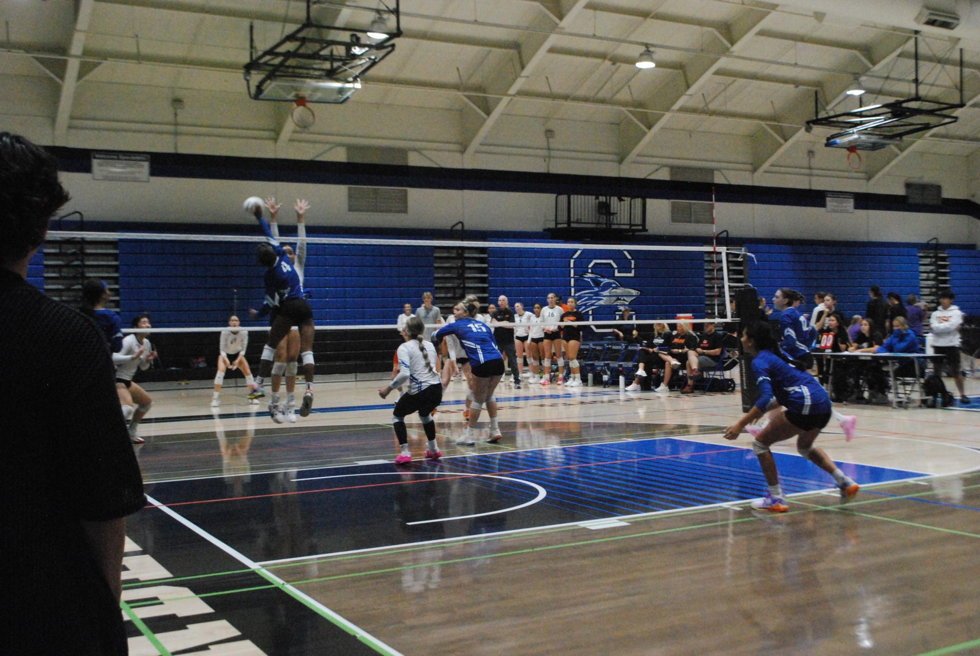 CHS Volleyball hosts House of Payne Tournament: Photo Highlights