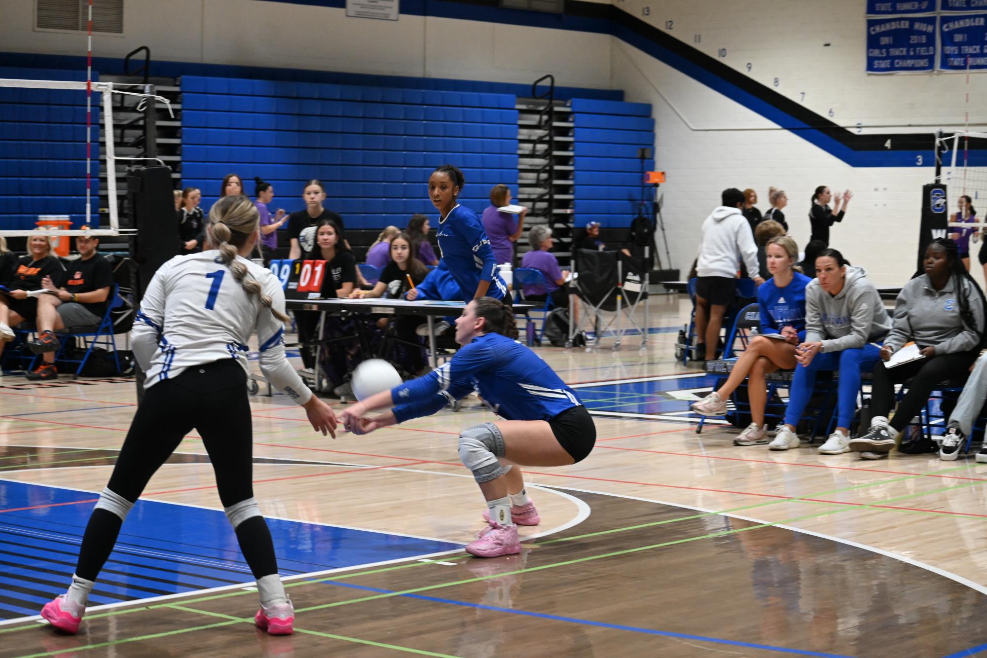 CHS Volleyball hosts House of Payne Tournament: Photo Highlights