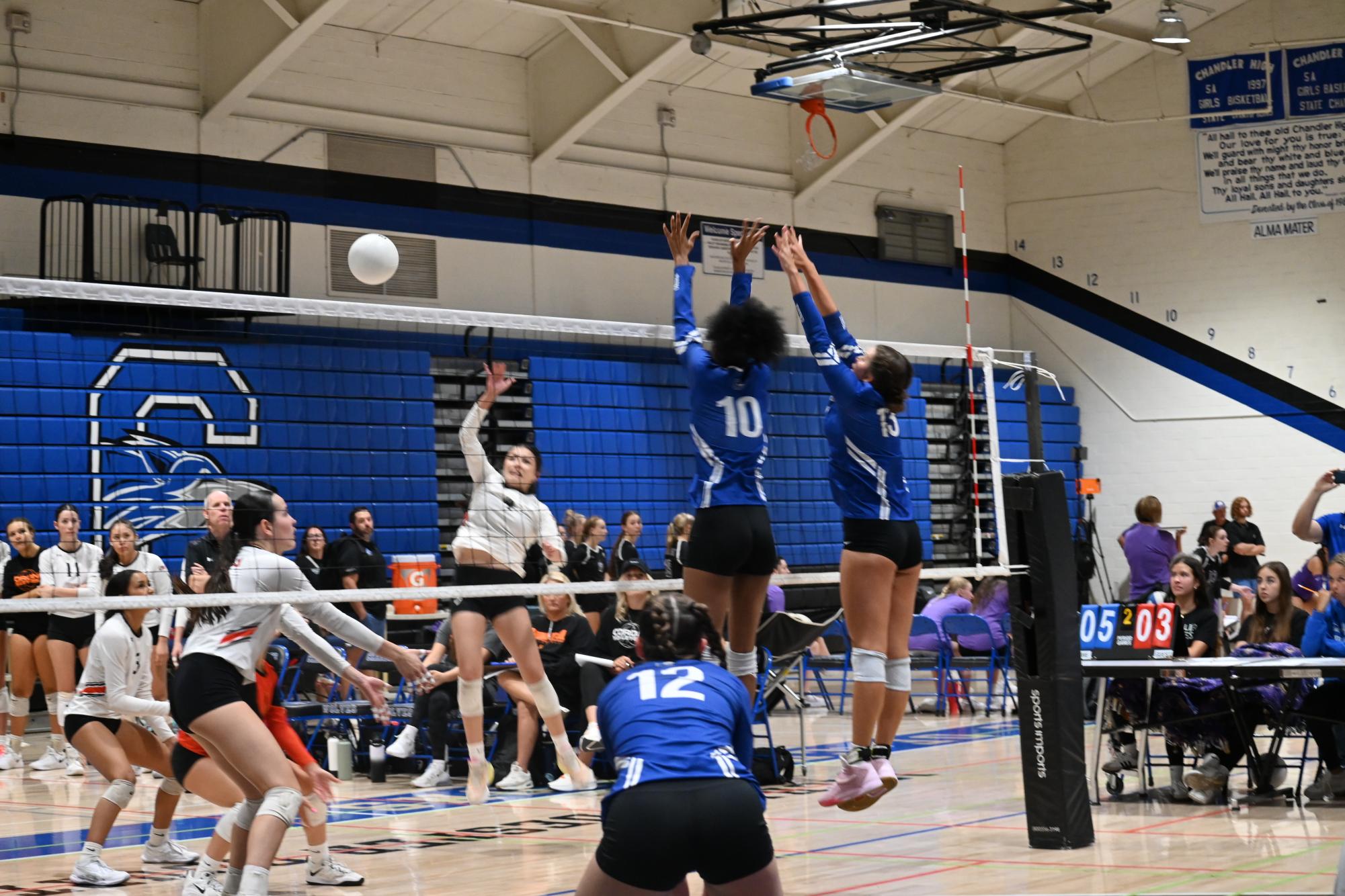 CHS Volleyball hosts House of Payne Tournament: Photo Highlights