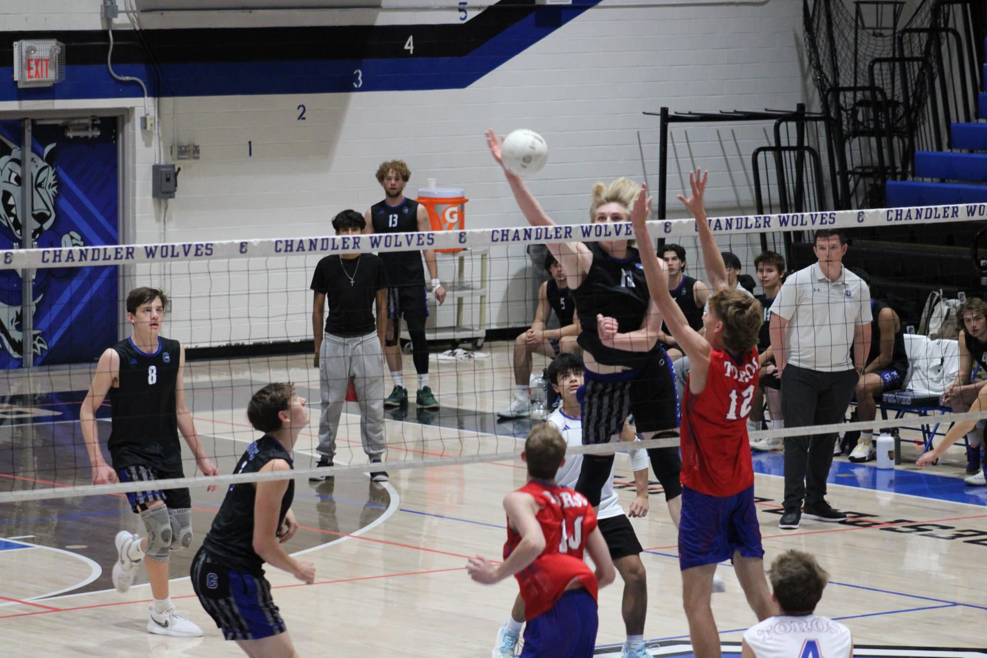 Chandler Wolves Take On Mountain View Toros - Boys Volleyball Photo Highlights 4/9/2025