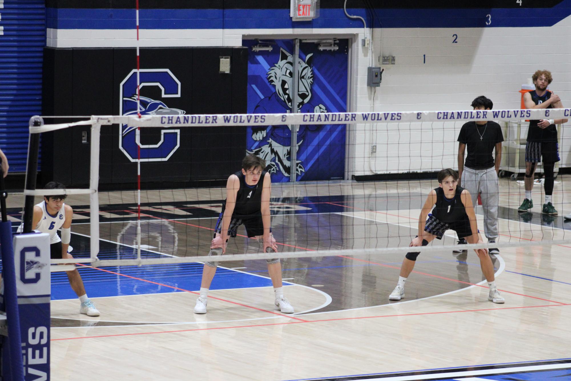 Chandler Wolves Take On Mountain View Toros - Boys Volleyball Photo Highlights 4/9/2025