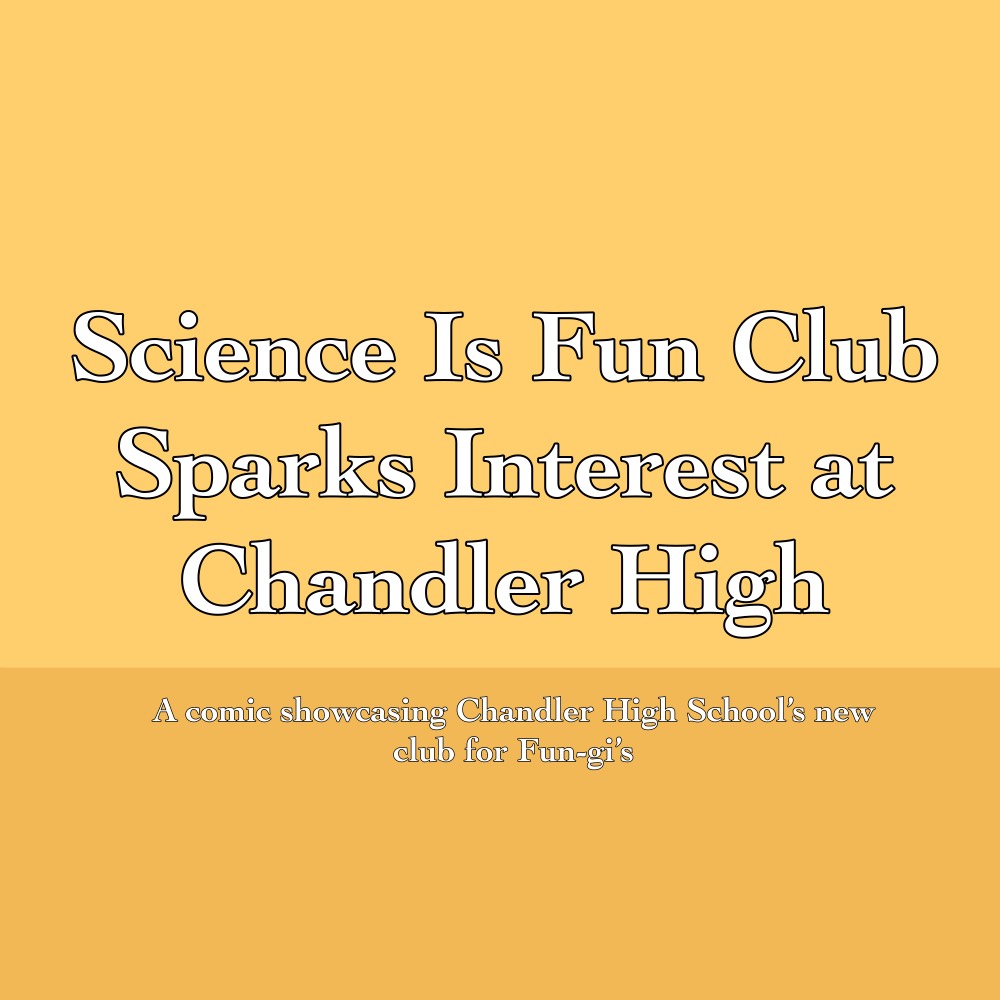 Science is Fun Club Sparks Interest at Chandler High